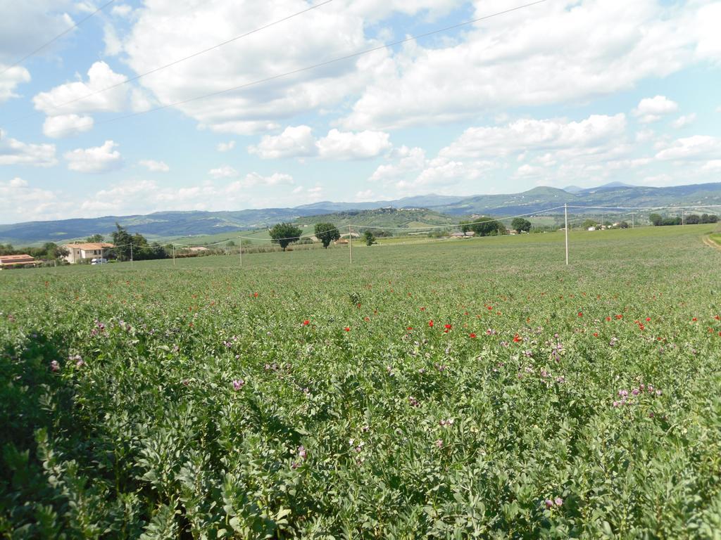 Agriturismo Il Giardino ซาตูร์เนีย ภายนอก รูปภาพ